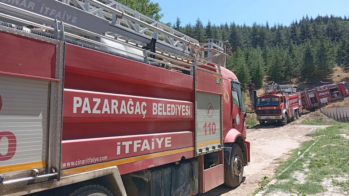 Afyon'da Orman Yangını… Ekipler Anında Müdahale Etti