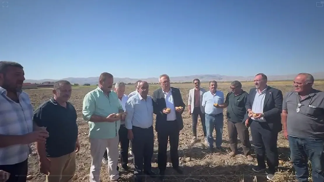 Afyon'da Patates Üreticileri Dertli: Tüccarın Eline Düşeceğiz