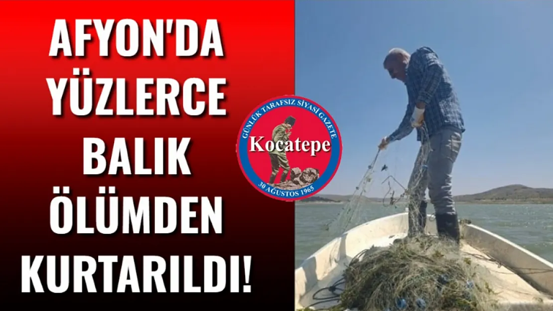Afyon'da Yüzlerce Balık Ölümden Kurtarıldı!
