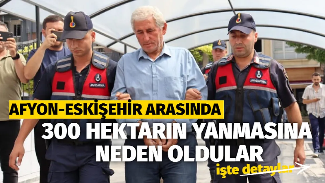 Afyon-Eskişehir arasında 300 hektarın yanmasına neden oldular