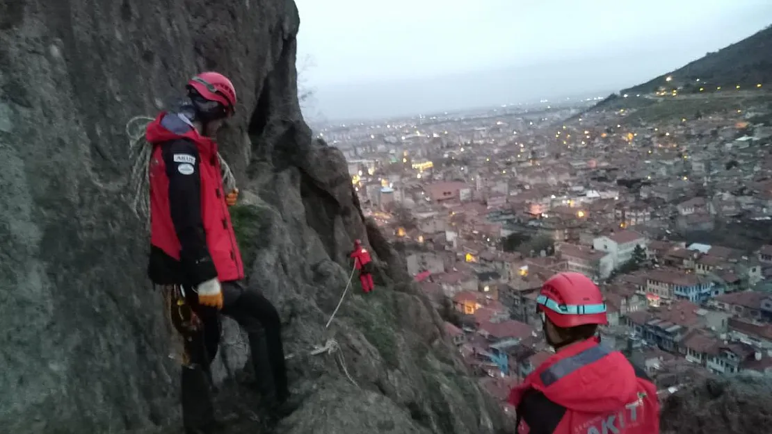 Afyon Kalesi’ne kaçan keçileri AKUT kurtardı