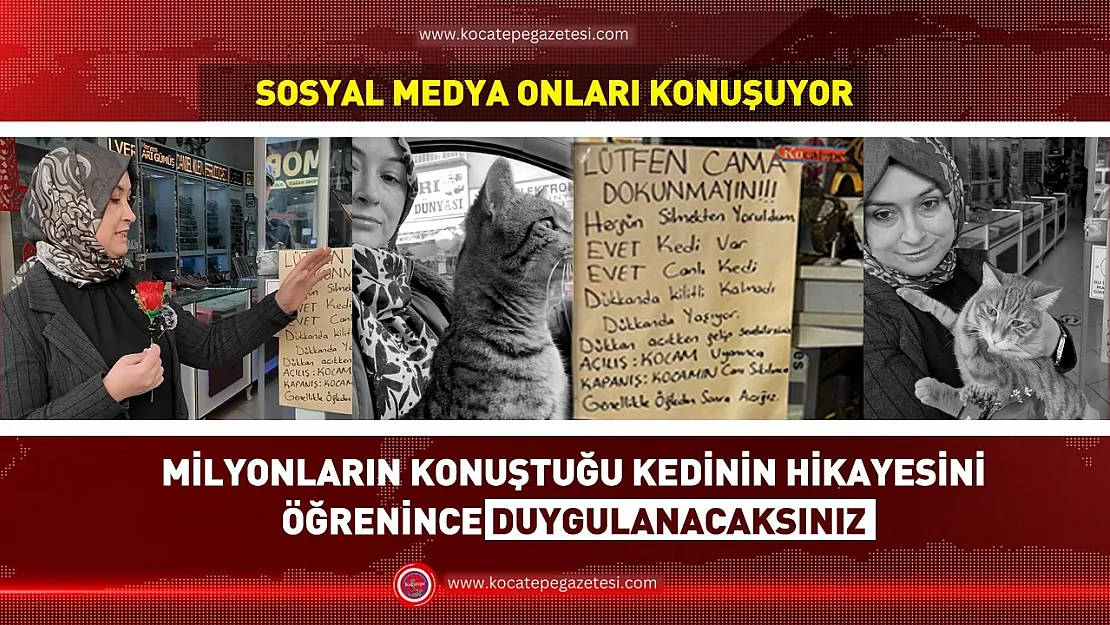 Afyon'un En Ünlü Kedisi Ortaya Çıktı! O Yazının Sırrı Çözüldü