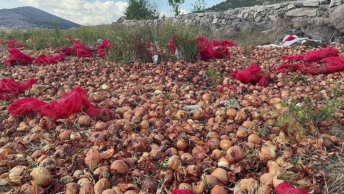 Afyon'da 2 Ton Kuru Soğanı Boş Araziye Döküp Gittiler