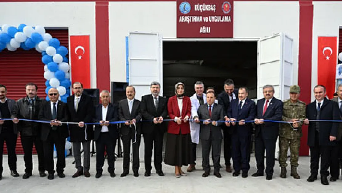 Afyon’da genom teknolojisi ile geliştirilmiş hayvanlar üretilecek