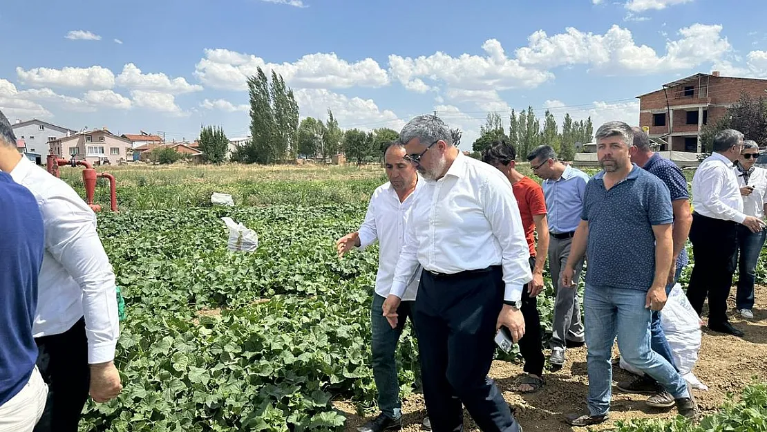 Afyon’da Salatalığa İhracat İzni Çıktı