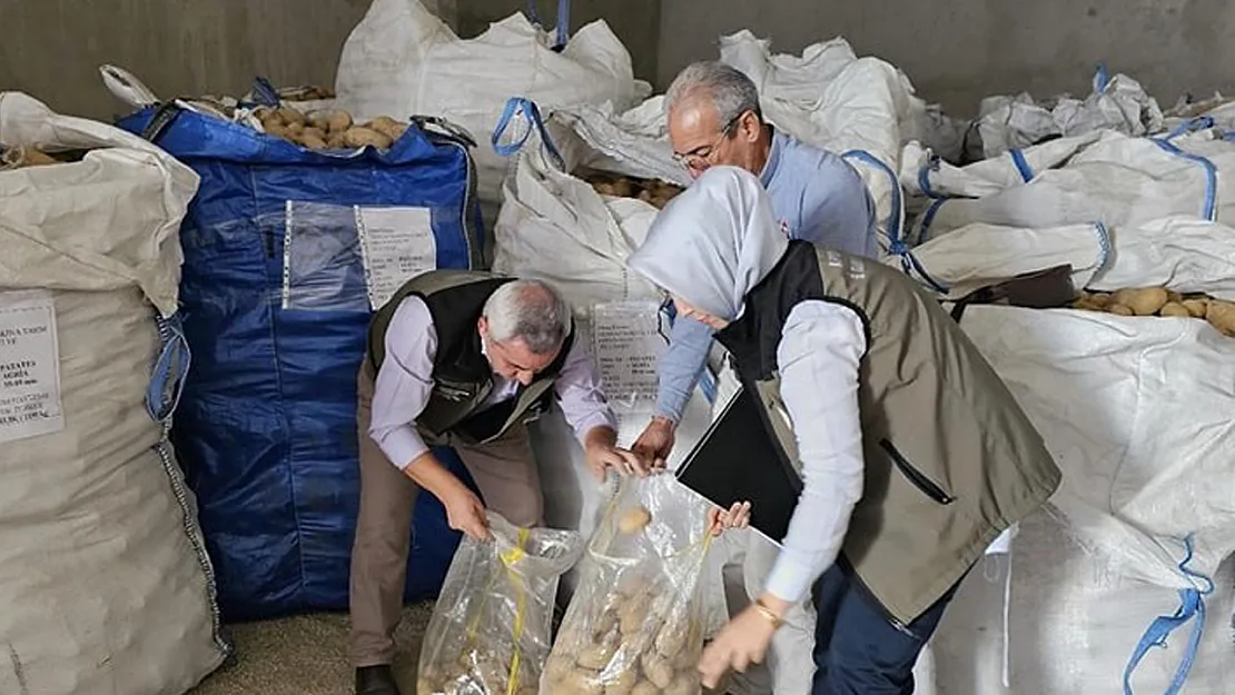 Afyonkarahisar'da Tunus'a 132 Ton Patates İhracatı Yapıldı