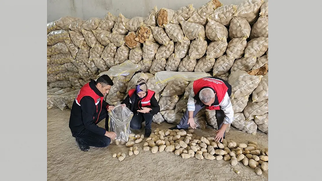 Afyonkarahisar'dan 300 Ton Patates İhracatı Yapıldı