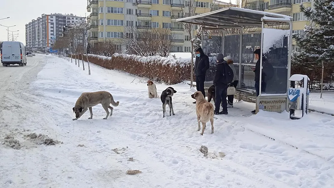 Afyonkarahisar kar altında