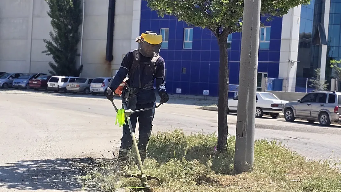 Afyonkarahisar OSB'de Yeşil Dönüşüm Ve Altyapı Çalışmaları Sürüyor