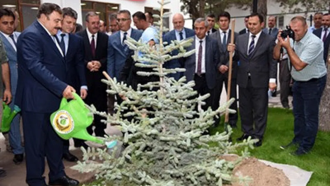 Afyonkarahisar'a 104 milyon yeni fidan