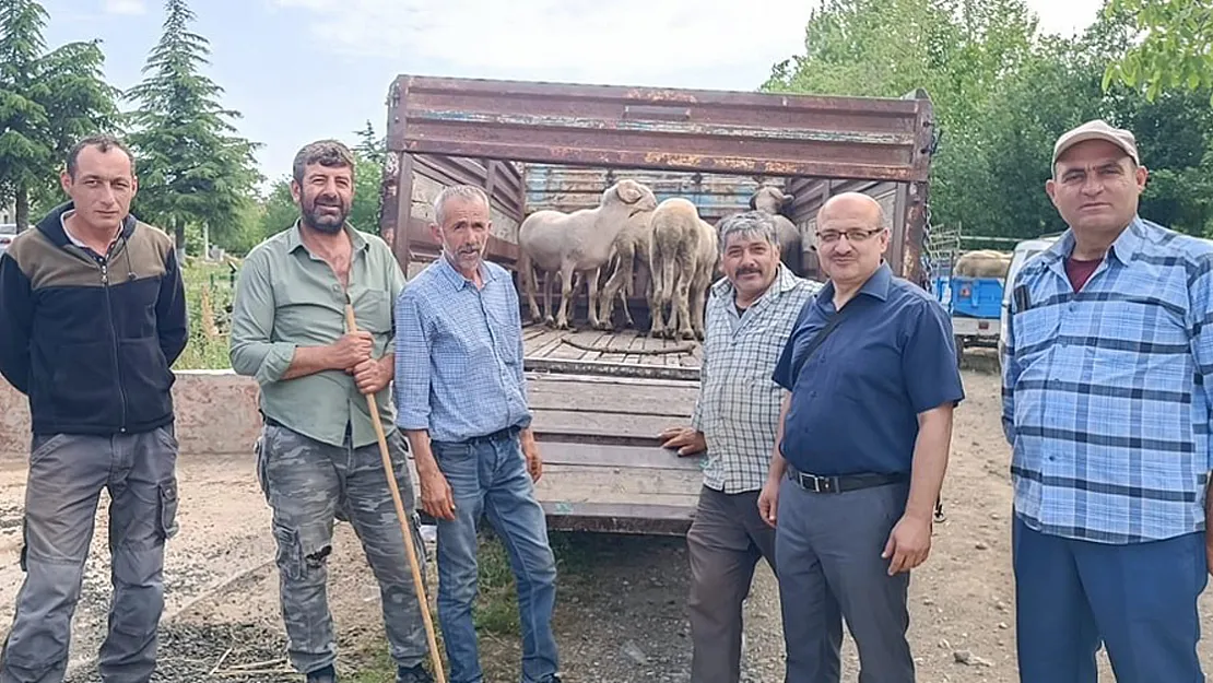 Afyonkarahisar'da Canlı Hayvan Taşımacılığına Yönelik Denetim