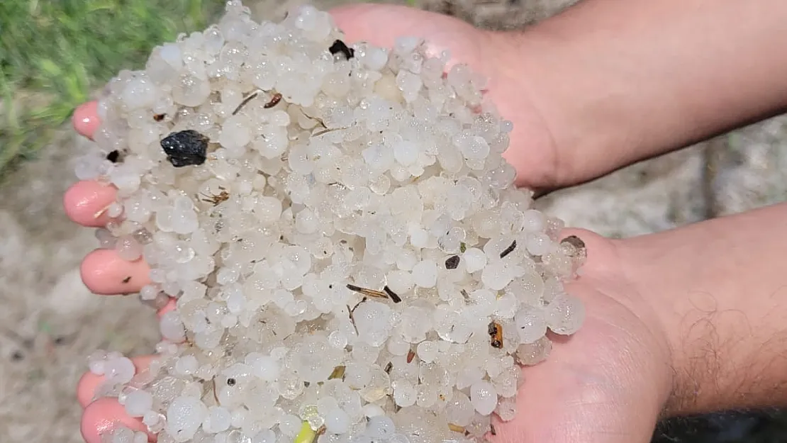 Afyonkarahisar'da ekili tarım arazileri zarar gördü