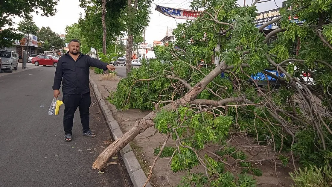 Afyonkarahisar'da olumsuz hava şartları devam ediyor