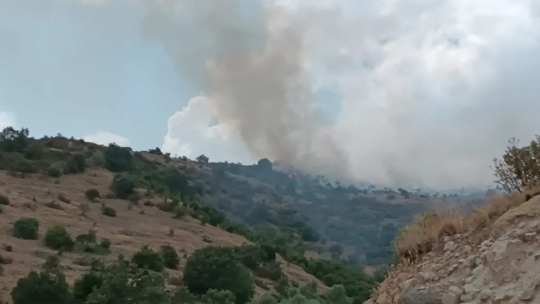 Afyonkarahisar'da Ot Ve Çalıların Bulunduğu Dağlık Alanda Yangın Çıktı