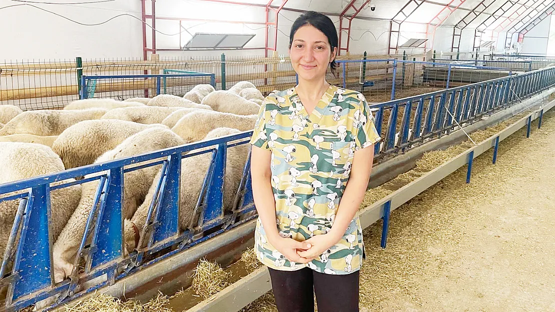 Afyonlu Genç Veterinerden Örnek Girişim: Kendi Küçükbaş İşletmesini Kurdu