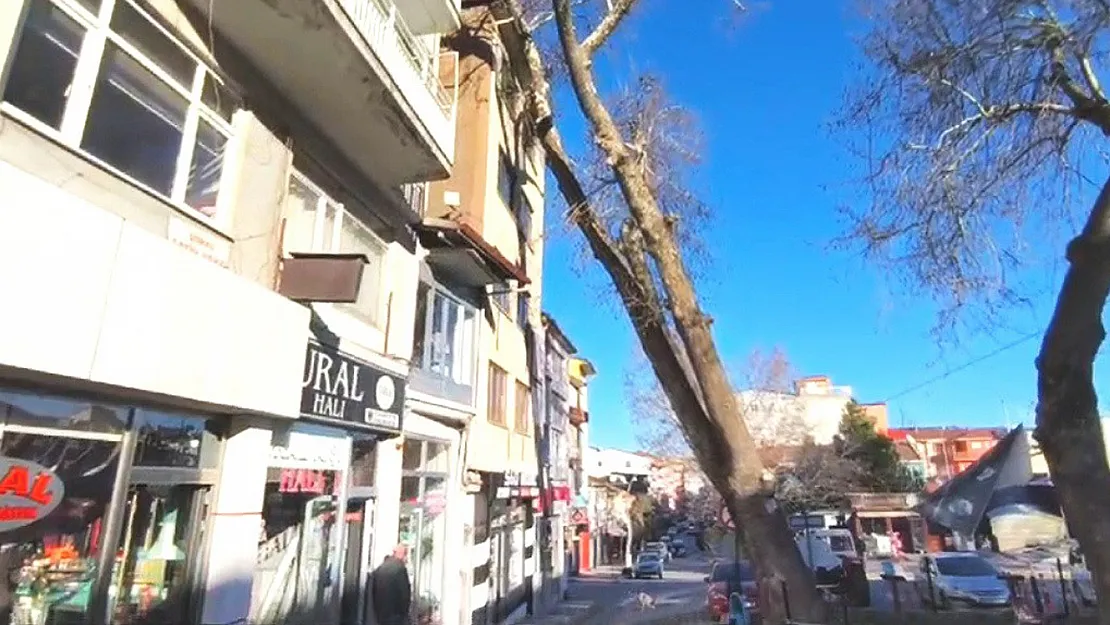 Anıt Çınar Binanın Üzerine Devrildi