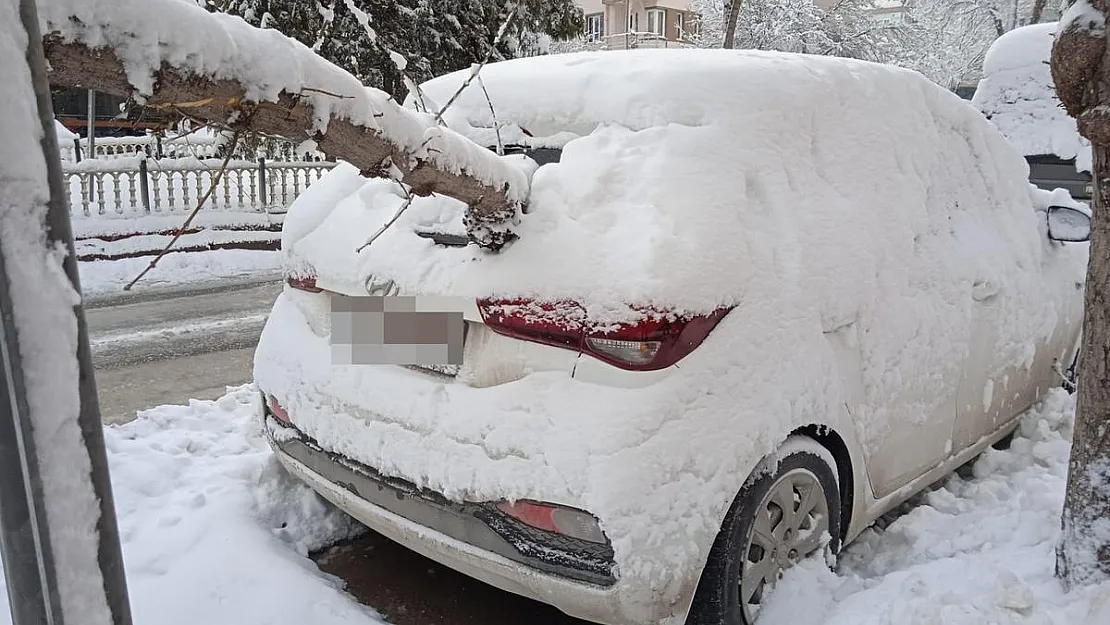 Araçlar devrilen ağaçların altında kaldı