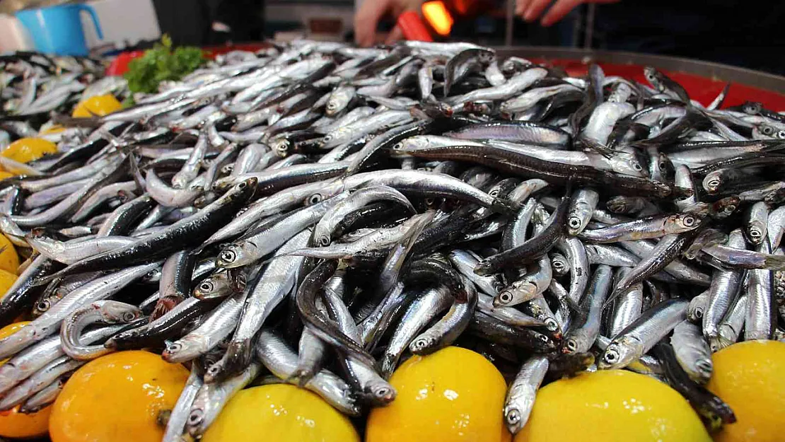 Aralık Ayı'nda Yenecek En Lezzetli Balıklar Hangileri?