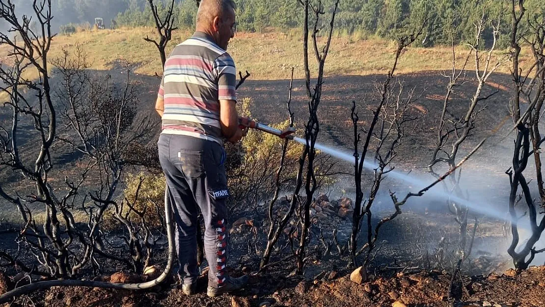 Arazide başlayan yangın ormanlık alan sıçramadan söndürüldü