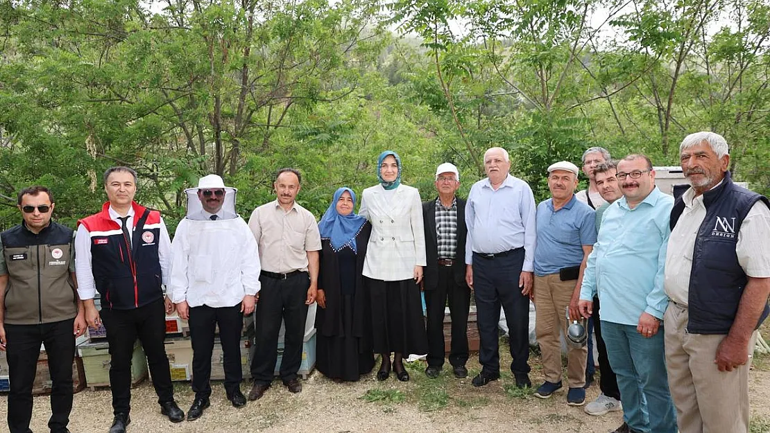 Arıcıların Zararları Ortadan Kalkacak