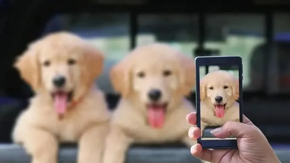 Artık Onların Bile Telefonu Olacak