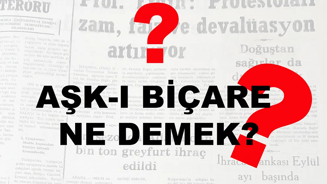 Aşk-ı Biçare Ne Demek?