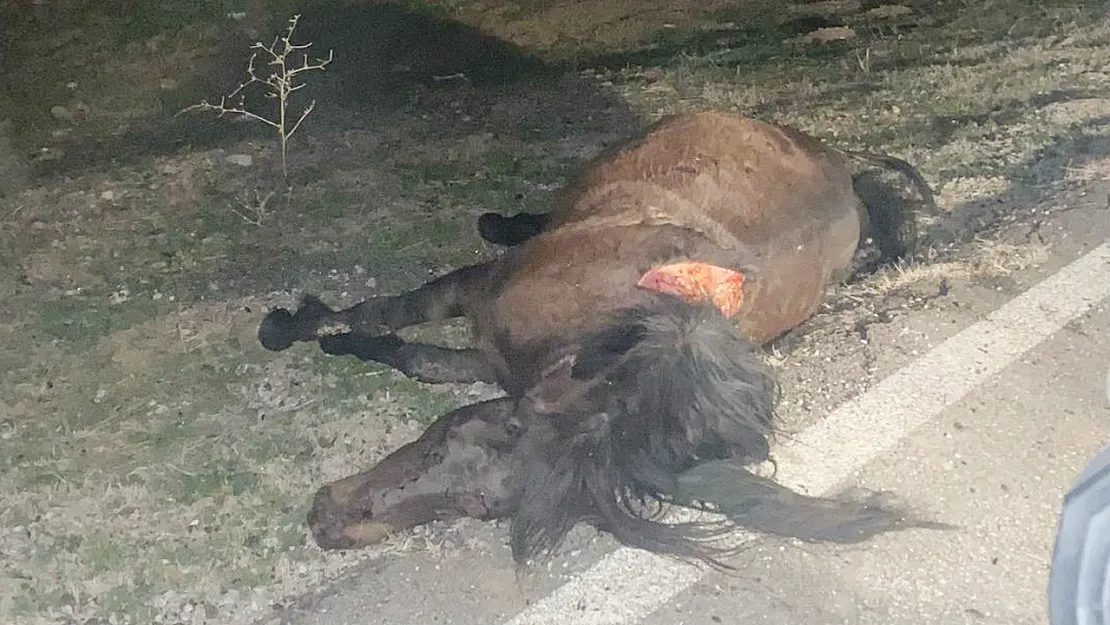 Atın Telef Olduğu Kazada 4 Kişi Yaralandı