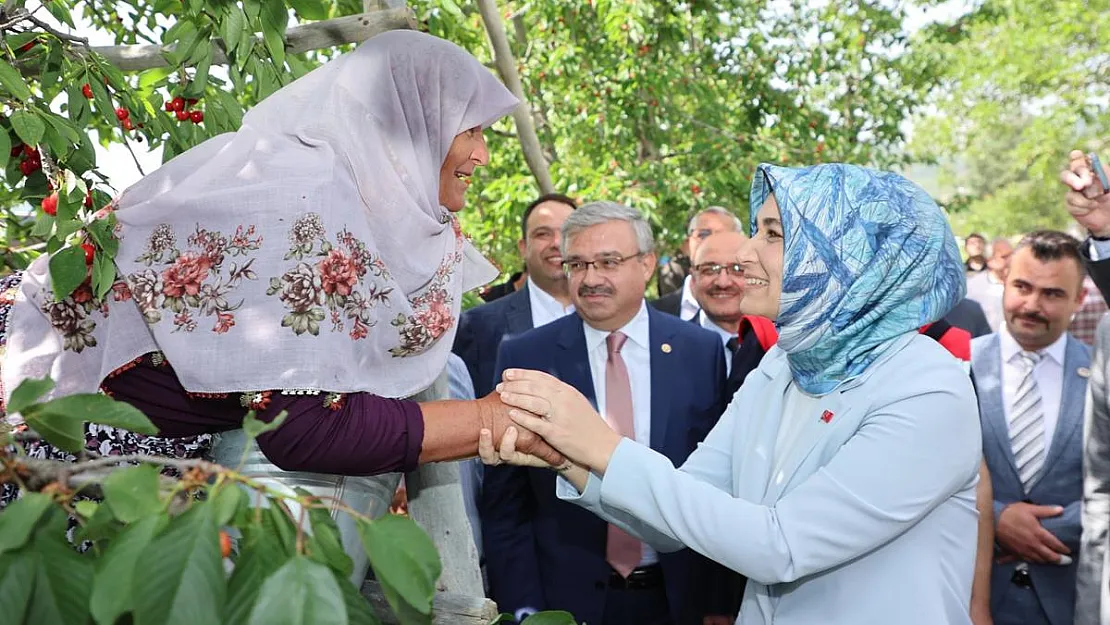 Ayşe Teyze Talep Etti, Vali Yiğitbaşı Talimat Verdi