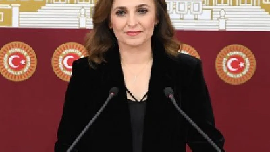 Ayşegül Doğan Kimdir?