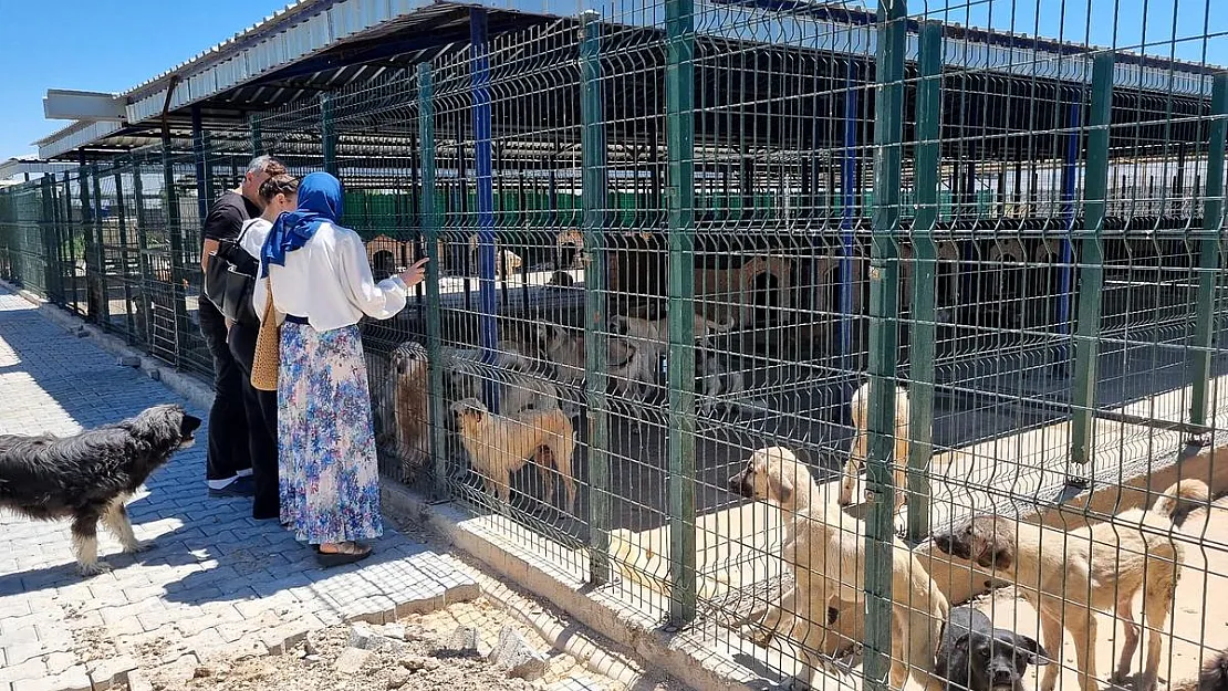 Başkan Kayacan, Hayvan Hakları Komisyonu üyeleriyle görüştü