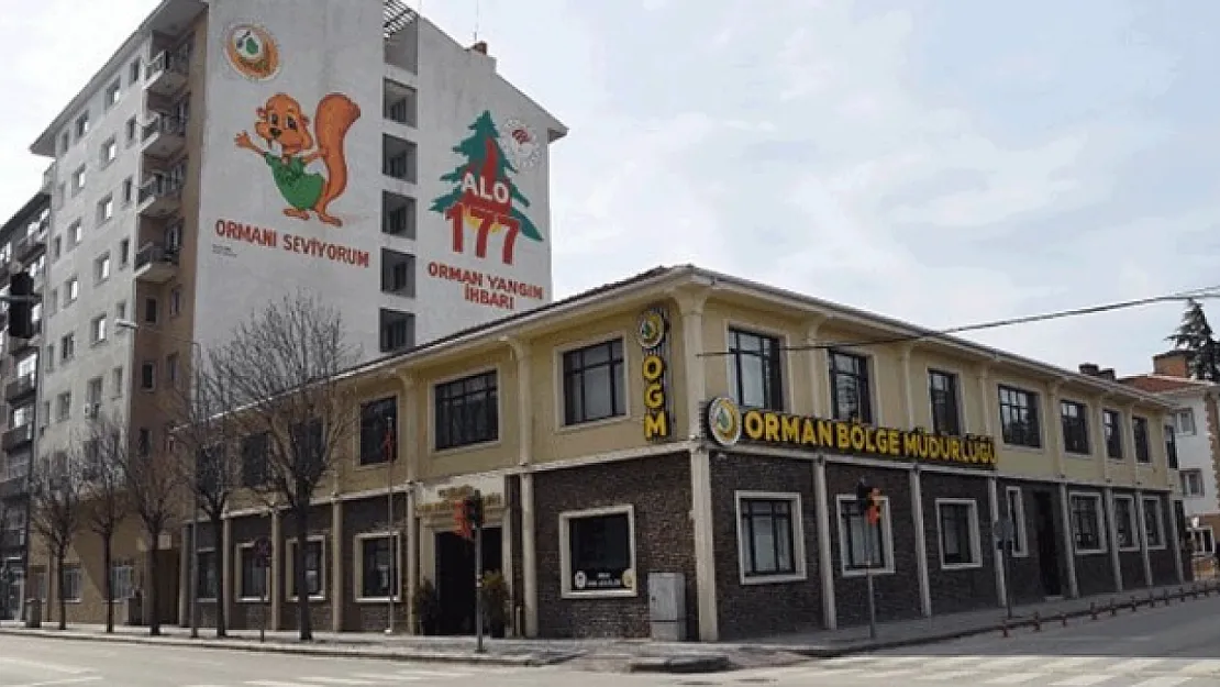 Baştankara kuşları, zararlı böceklerle mücadele ediyor