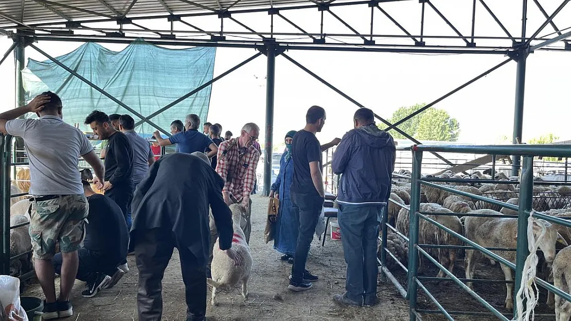 Bayramın birinci günü kurban pazarında yoğunluk yaşanıyor