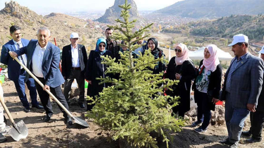 Belediye 11 bin fidanı  toprakla buluşturdu