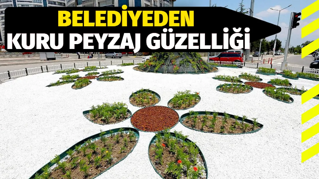 Belediyeden kuru peyzaj güzelliği