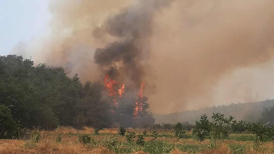 Bilecik'teki Orman Yangını 7 Köyü Etkisi Altına Aldı