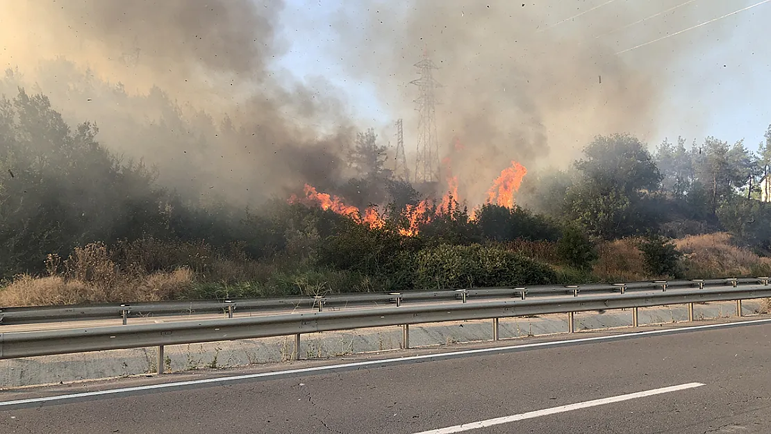 Bilecik’teki Orman Yangını Söndürüldü