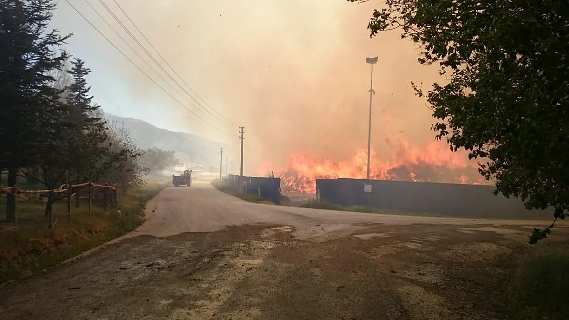 Biyoenerji tesisinde tekrar yangın çıktı