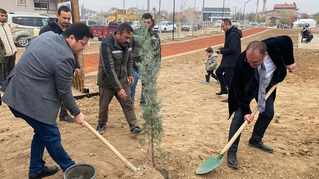 Bolvadin'de Ağaçlandırma Heyecanı