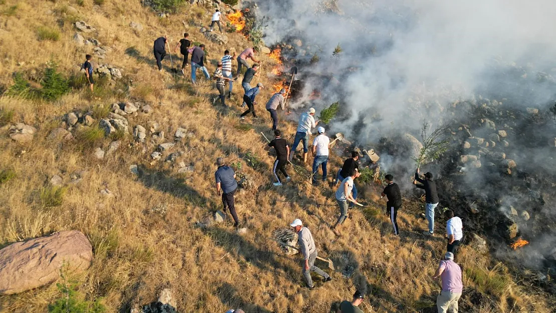 Bolvadin'de Orman Yangını