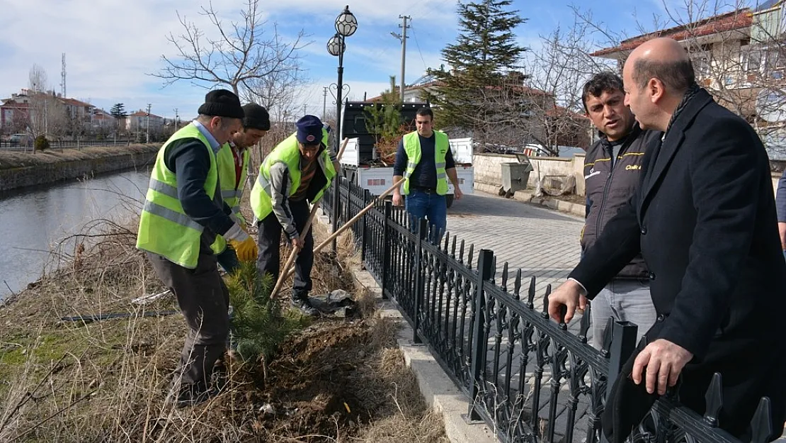 Bozkurt, peyzaj  çalışmalarını inceledi