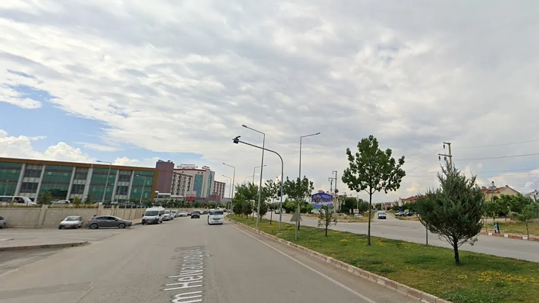 'Bu Ağaçlara Ne Olacak?'