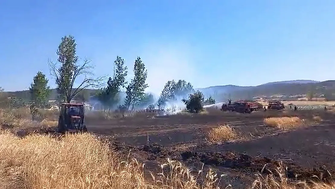 Buğday Ekili Alanda Çıkan Yangın Kısa Sürede Söndürüldü