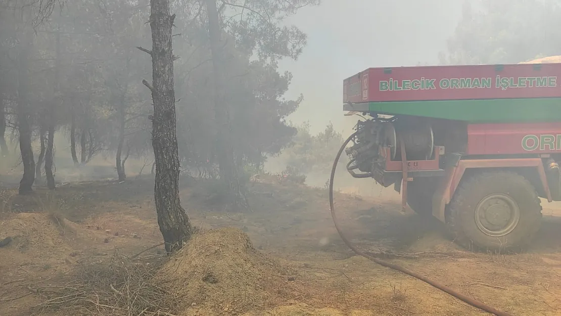 Buğday Tarlasında Çıkan Yangın Ormanlık Alana Sıçradı