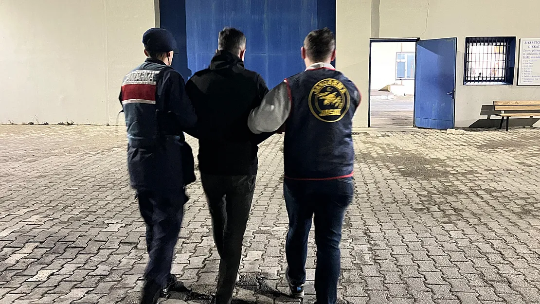 Büyükbaş Hayvan Hırsızlarını JASAT Yakaladı
