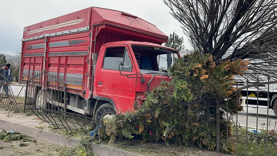 Canlı hayvan taşıyan kamyonet ağaca çarptı, 2 kişi yaralandı