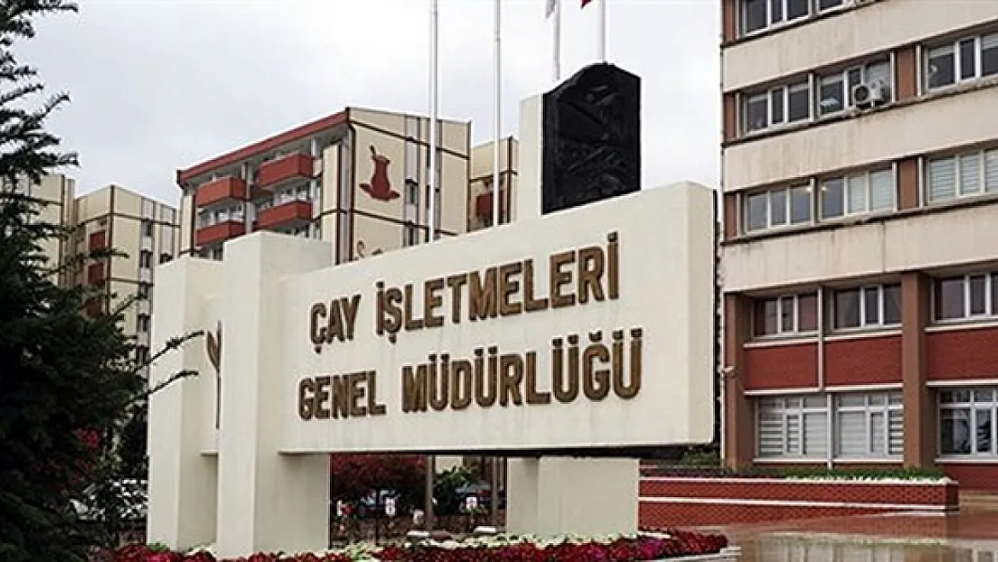 Çay İşletmeleri Genel Müdürlüğü Geçici 1500 İşçi Alacak