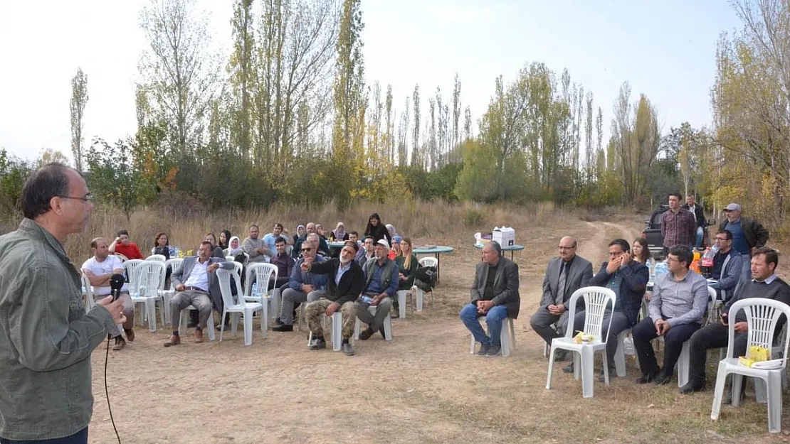 Çay'da ‘Karabuğday’ için tarla günü düzenlendi