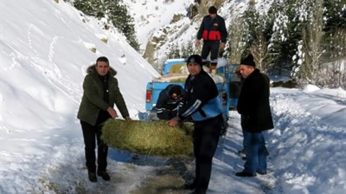 Çay'da yaban hayvanları unutulmadı – Kocatepe Gazetesi