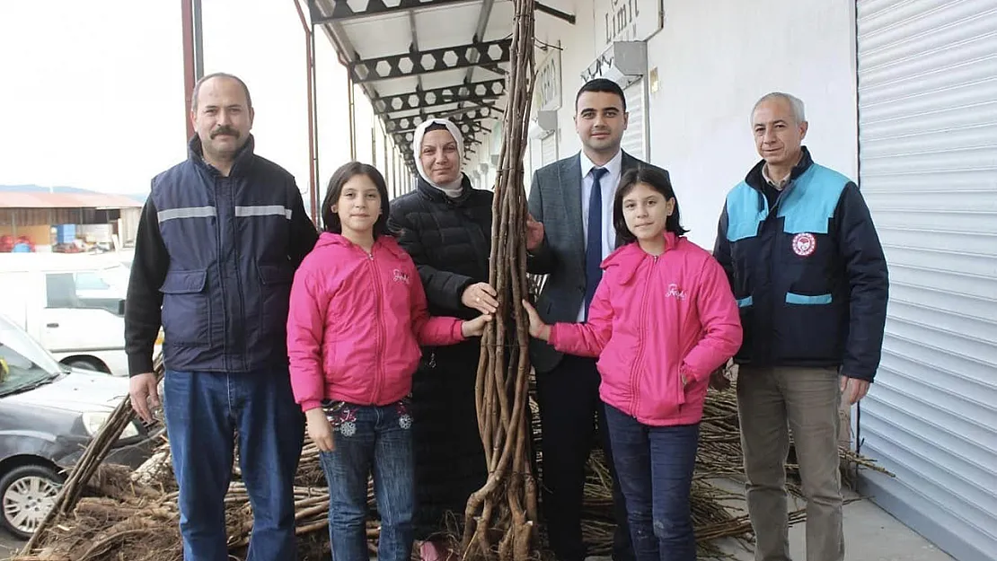 Çiftçilere Yüzde 50 Destekli Eviz Ve Badem Fidanı