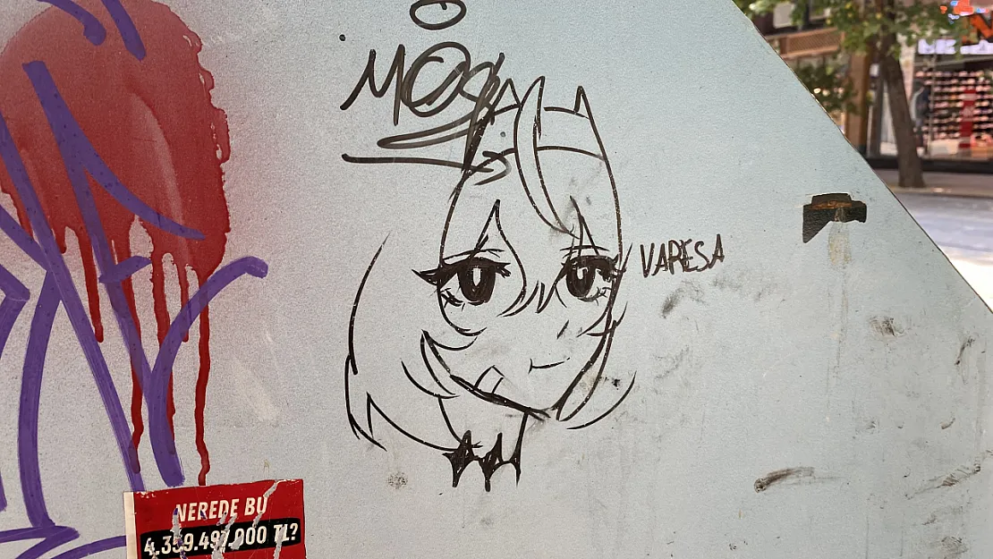 Çöp Kutusunun Üzerine Çizilen 'Anime Kızı' Dikkat Çekti